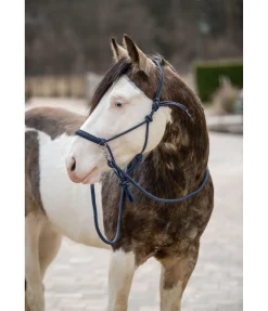 Outlet Ensemble licol à noeuds All-in-One Licols À Noeuds
