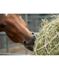 Outlet Filet à foin en coton Équipement Pour Le Box|Filets À Foin