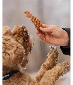 Hot Filets de dinde Articles À Mâcher & Friandises Pour Chien