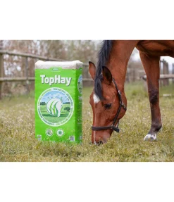 Sale Foin TopHay Granulés & Fourrage