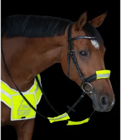 Fourreaux réfléchissants pour bridon Accessoires De Briderie