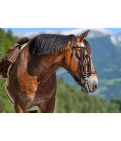 Discount Franges anti-mouches en cuir velours Cles Masques & Émouchettes