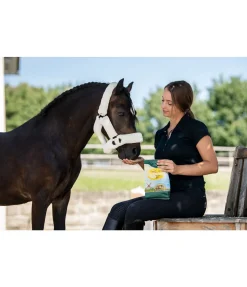 Clearance Friandises à la banane Friandises & Récompenses