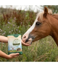 Online Friandises au chanvre Nature Friandises & Récompenses