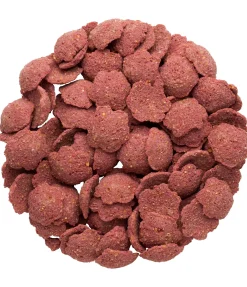 Best Friandises fleurs orange sanguine et argousier Friandises & Récompenses