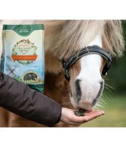 Best Friandises naturelles à la carotte Friandises & Récompenses