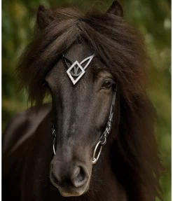 Frontal Glitbrá Frontaux