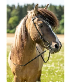 Frontal Glitbrá Frontaux