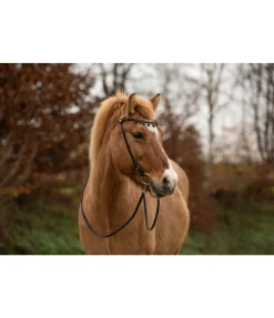 Frontal Silfra Frontaux