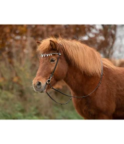 Outlet Frontal Silfra Frontaux