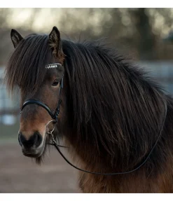 Outlet Frontal Silfra Frontaux