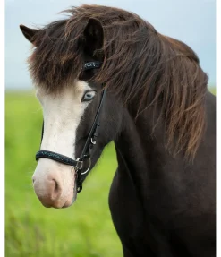 Outlet Frontal Skína Frontaux