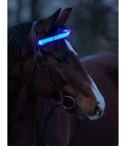 Discount Frontal LED Loom Frontaux