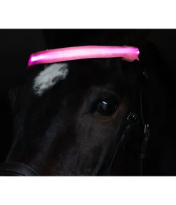 Sale Frontal LED Loom Frontaux