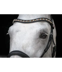 Clearance Frontal Mix & Match Diamond Shine Frontaux