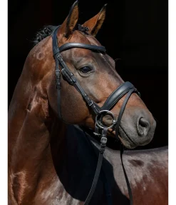 Best Frontal plat en cuir gras Mix & Match PRO Bridons Mix & Match Pro|Frontaux