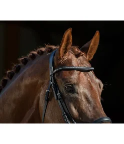 New Frontal scintillant en cuir gras Mix & Match PRO Frontaux|Bridons Mix & Match Pro