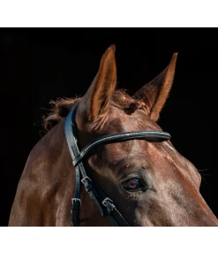 New Frontal scintillant en cuir gras Mix & Match PRO Frontaux|Bridons Mix & Match Pro
