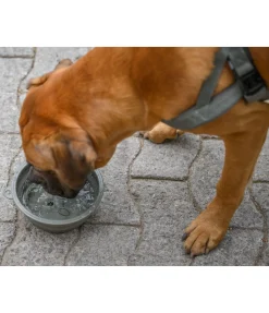 Best Gamelle pliable pour chien Classic Line Gamelles & Accessoires De Voyage Pour Chien