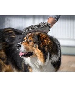 Clearance Gant de toilettage pour chien Cosma Entretien De La Fourrure Pour Chien