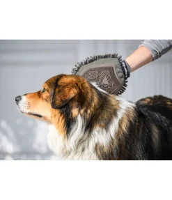 Clearance Gant de toilettage pour chien Cosma Entretien De La Fourrure Pour Chien