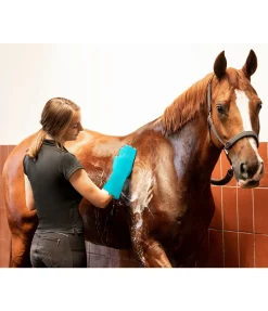 New Gants de lavage Entretien De La Fourrure Pour Chien