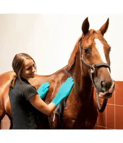 New Gants de lavage Entretien De La Fourrure Pour Chien