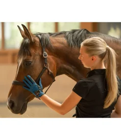 Online Gants d'équitation Aero Gants D'Équitation Pour L'Été