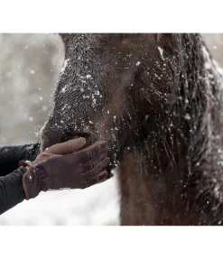 Outlet Gants d'équitation d'été Omeo Gants D'Équitation Pour L'Été
