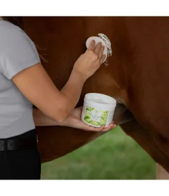 Sale Gel anti-insectes à l'huile de neem Produits Anti-Mouches