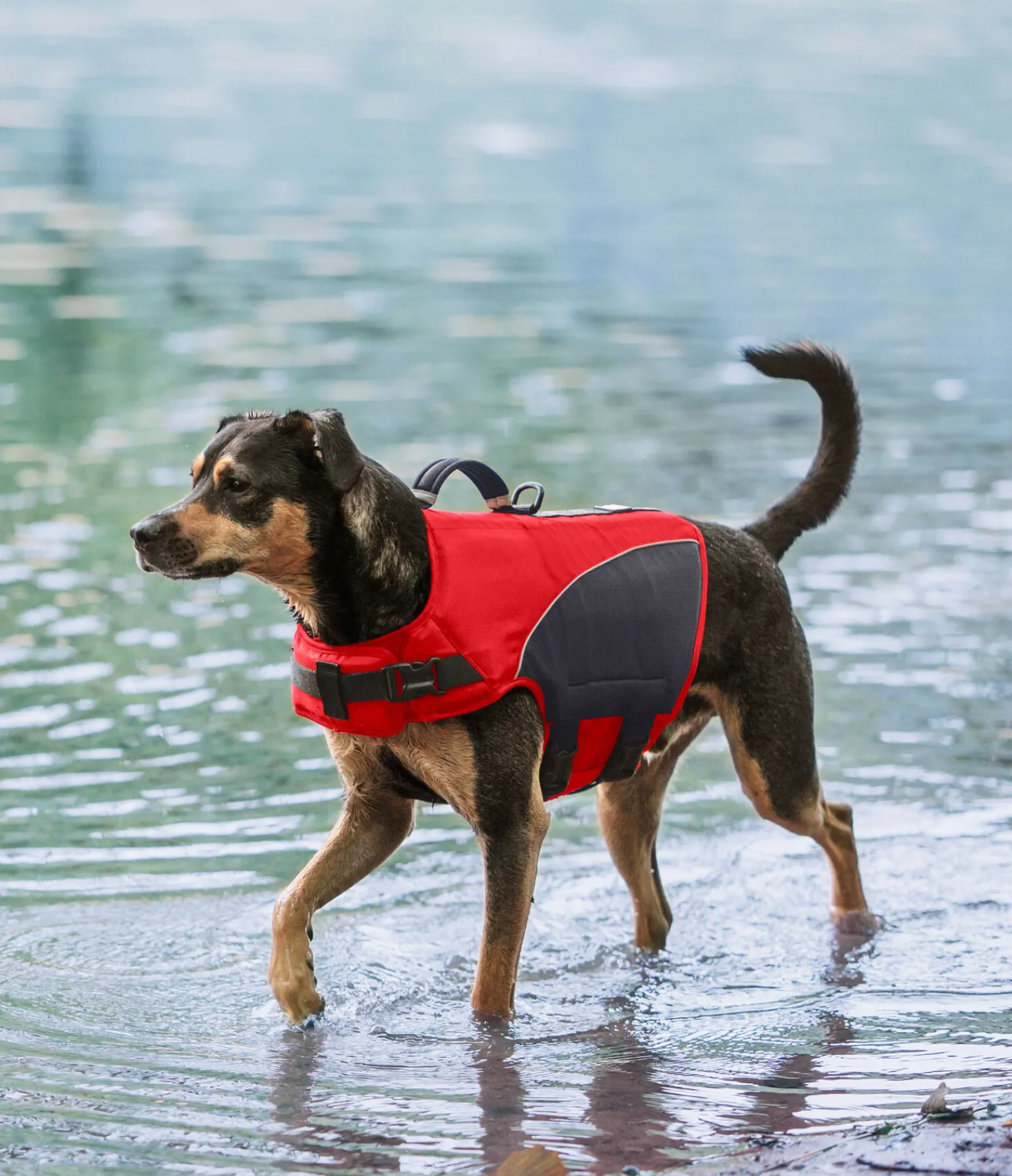 Clearance Gilet de sauvetage pour chien Life Guard Peignoirs, Manteaux Polaire Et Pull-Overs