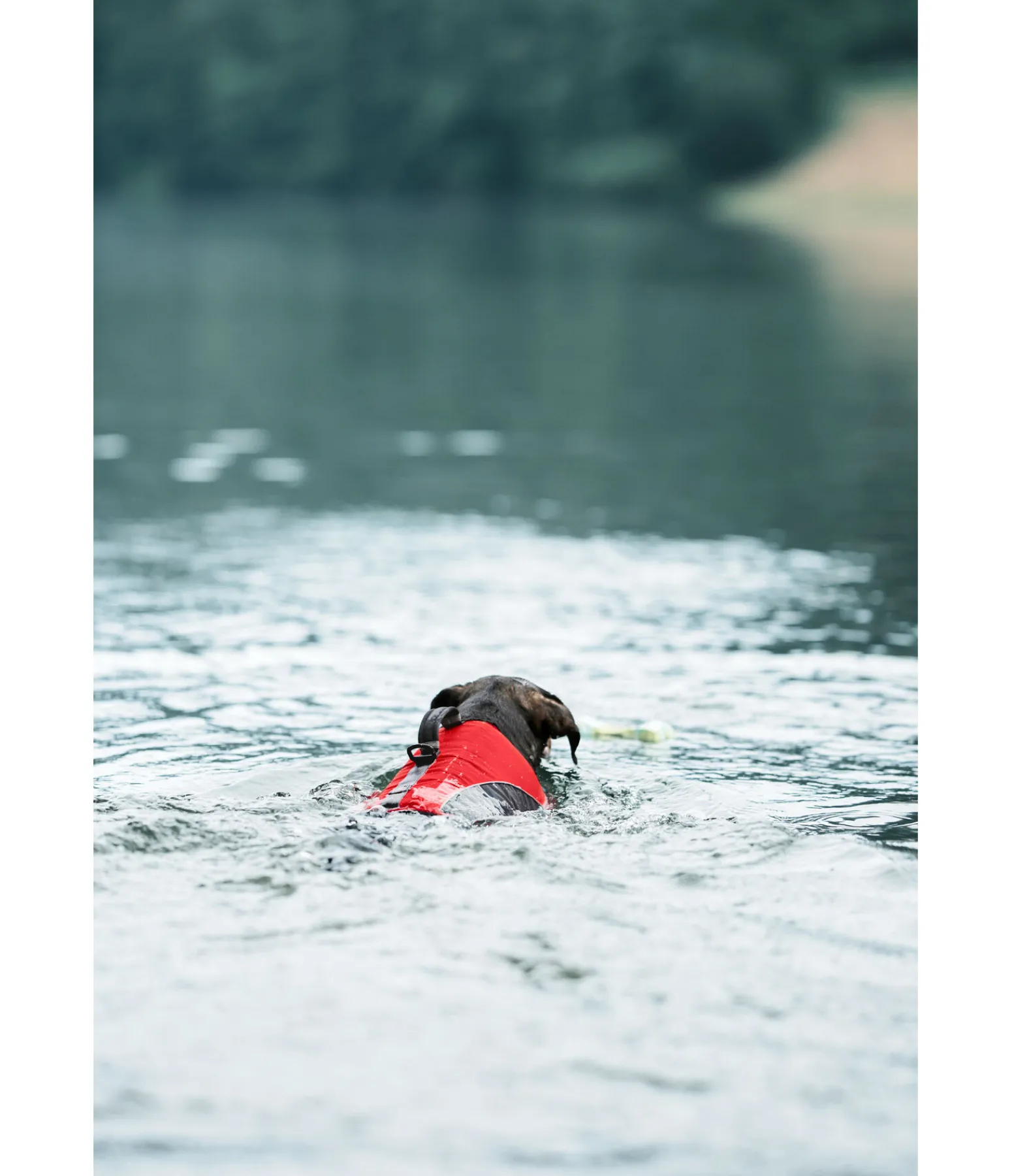 Clearance Gilet de sauvetage pour chien Life Guard Peignoirs, Manteaux Polaire Et Pull-Overs