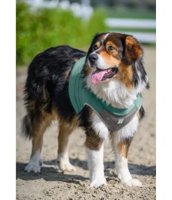 Online Gilet rafraîchissant pour chien Refresh Peignoirs, Manteaux Polaire Et Pull-Overs