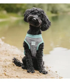 Online Gilet rafraîchissant pour chien Refresh Peignoirs, Manteaux Polaire Et Pull-Overs