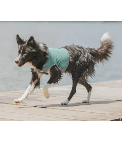 Online Gilet rafraîchissant pour chien Refresh Peignoirs, Manteaux Polaire Et Pull-Overs