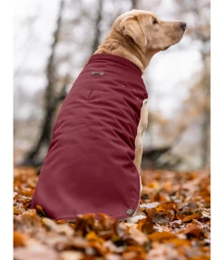 Gilet softshell réversible pour chien Willa, 80 g Manteaux D'Hiver Avec Garnissage, À Partir De 50G