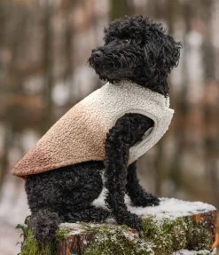 Gilet softshell réversible pour chien Willa, 80 g Manteaux D'Hiver Avec Garnissage, À Partir De 50G