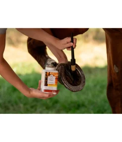 Outlet Goudron de hêtre Produits De Soin