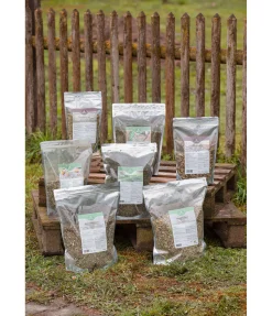 New Graines de fenouil Aliments Complémentaires