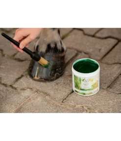 Online Graisse à sabots Produits De Soin