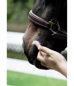 Hot Graisse à traire Produits De Soin