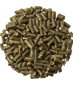 Outlet Granulés pour le système nerveux Calme intérieur Aliments Complémentaires