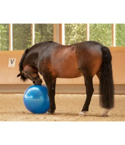Best Grosse balle de jeu pour cheval Jouets Pour Chevaux