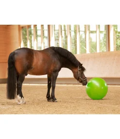 New Grosse balle de jeu pour cheval Jouets Pour Chevaux