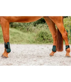 Online Guêtres à coque rigide Guêtres