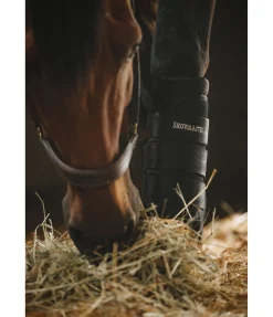 Sale Guêtres d'écurie Pro Articles De Thérapie Pour Les Membres