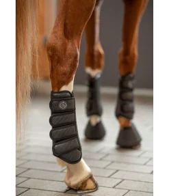 Online Guêtres de dressage Dressur-Derby Guêtres