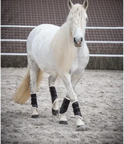 Best Guêtres de dressage antérieures en polaire Teddy Guêtres|Fourrure D'Agneau