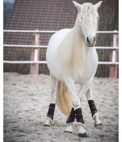 Best Guêtres de dressage antérieures en polaire Teddy Guêtres|Fourrure D'Agneau