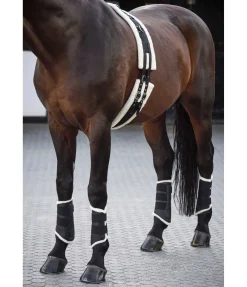 Outlet Guêtres de dressage postérieures en polaire Teddy Fourrure D'Agneau|Guêtres